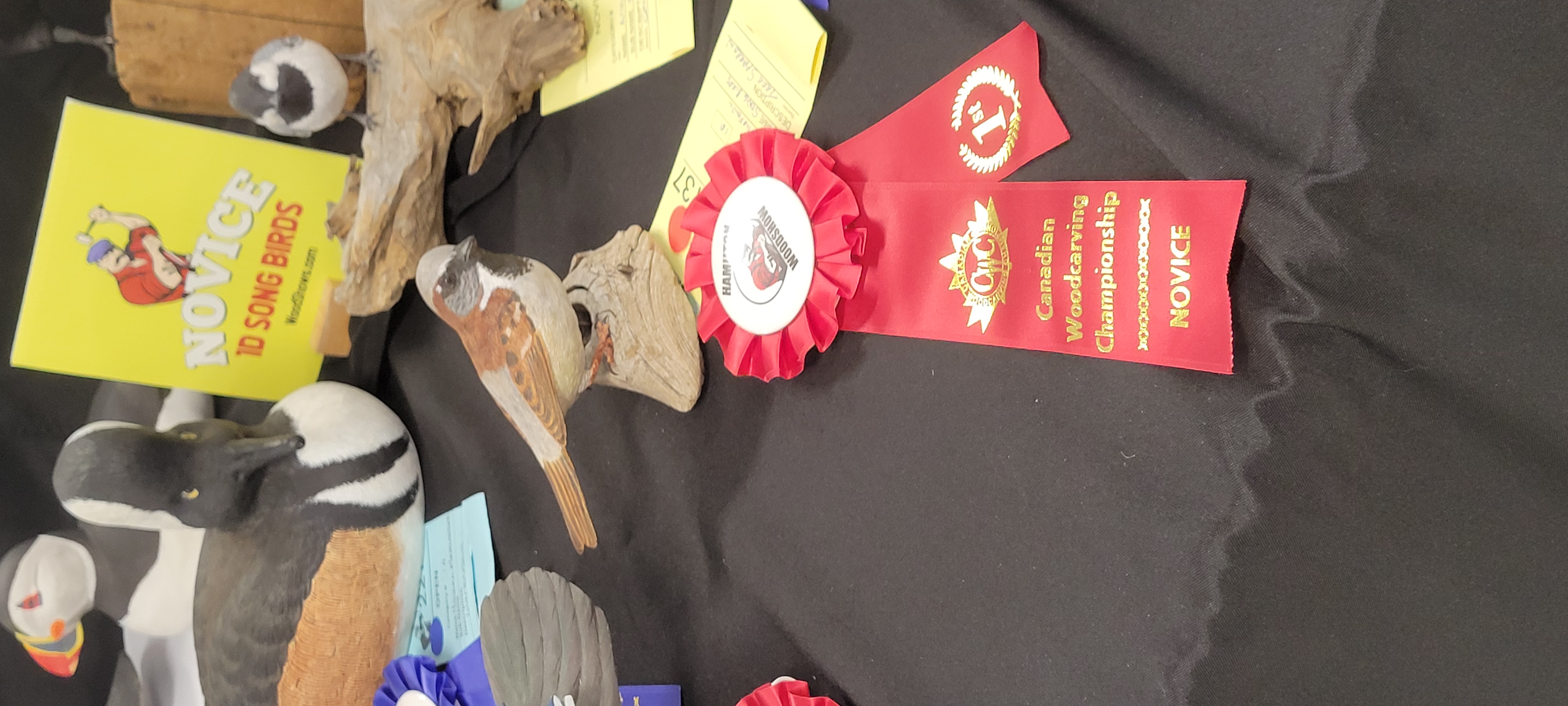 Hamilton Wood Show 2025 Photos