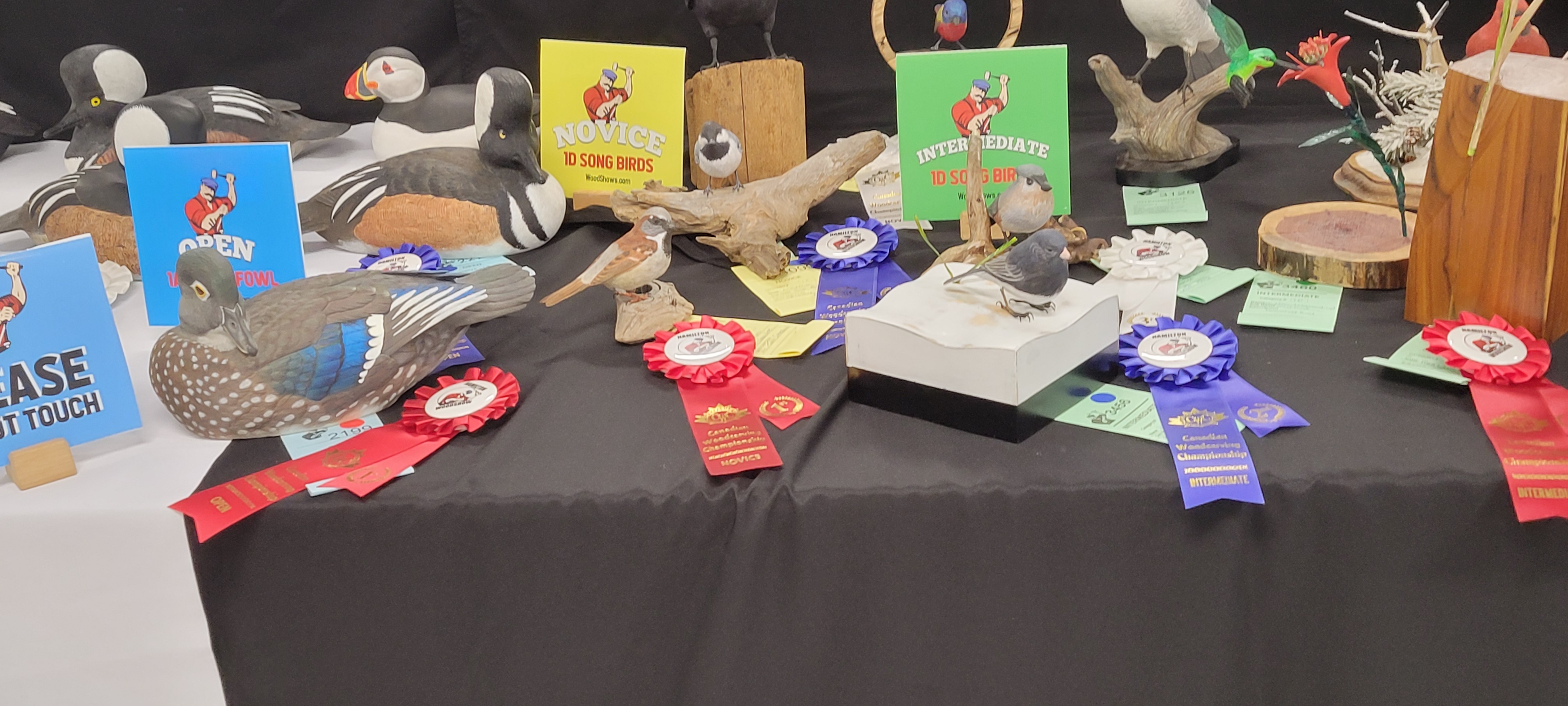 Hamilton Wood Show 2025 Photos