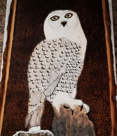 Joanne Willock's Carving