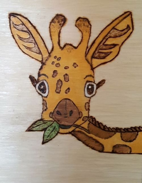 Joanne Willock's Carving