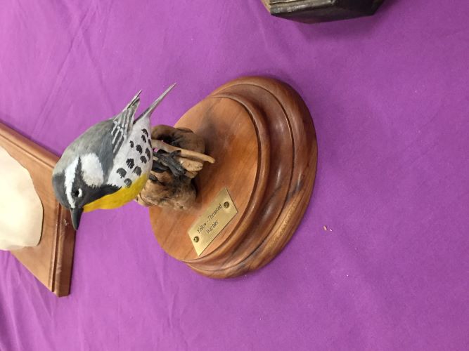 Metro Carvers Wood Show 2016 Photos