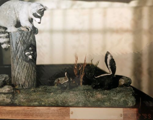 Richard Boyling's Carvings