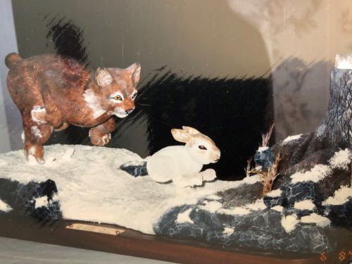 Richard Boyling's Carvings