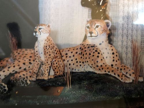 Richard Boyling's Carvings
