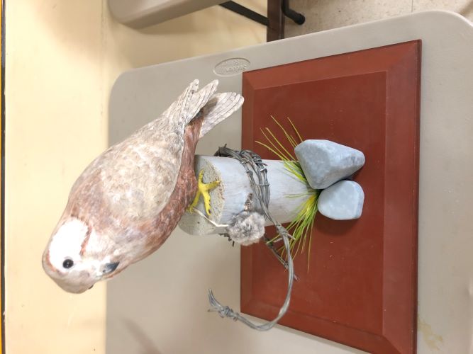 Mary Insley's Carving