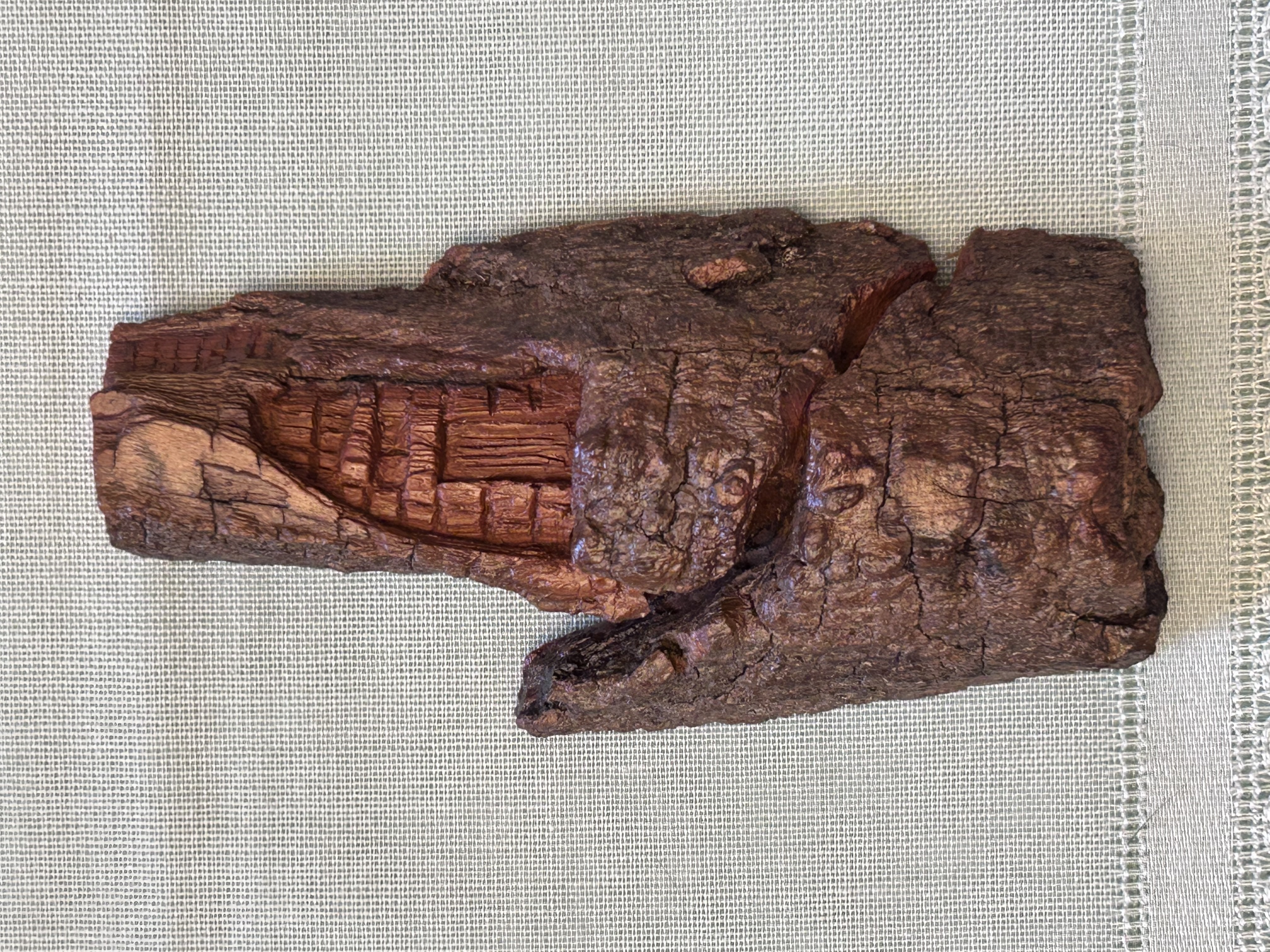 Shirley Carlos's Carving