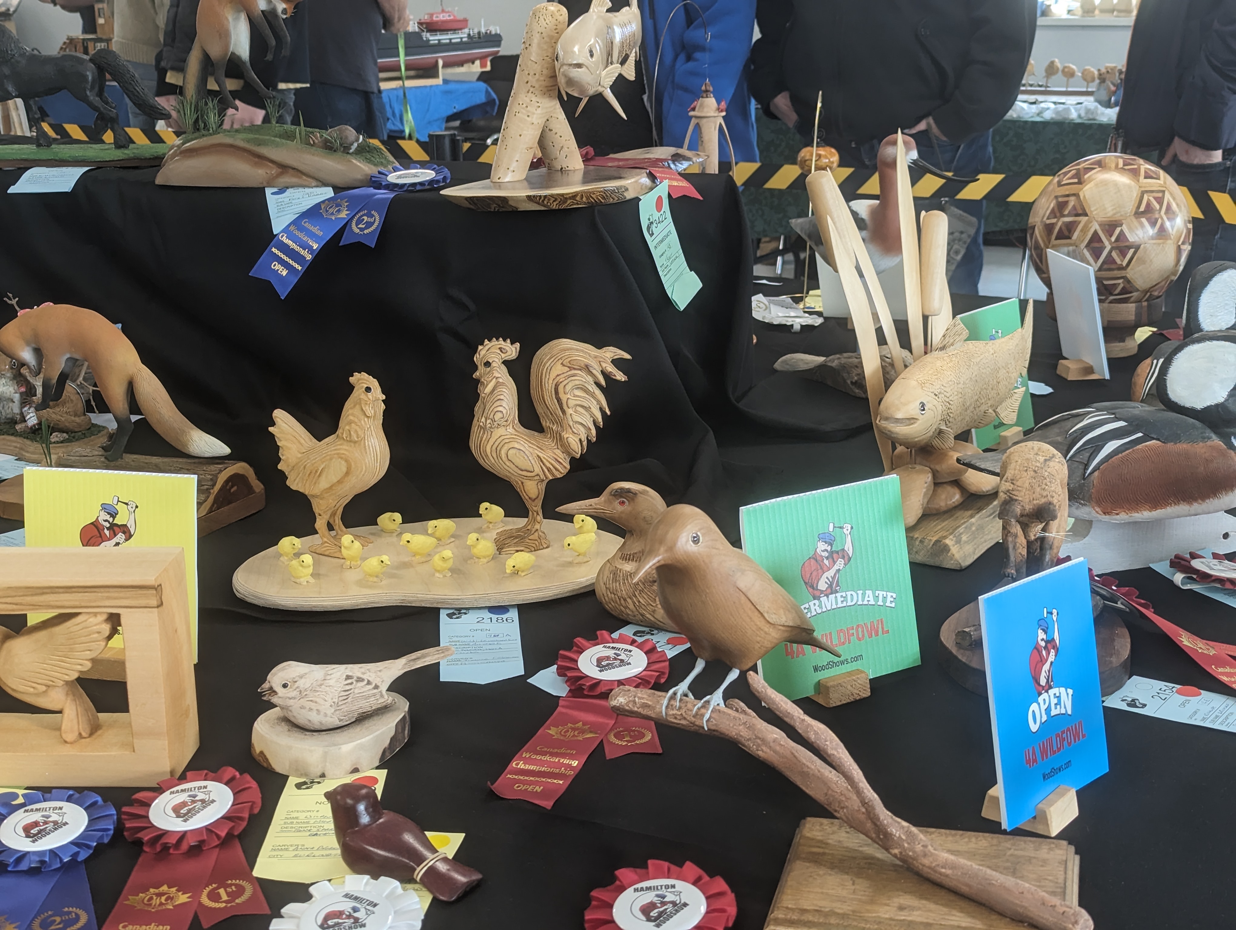 Hamilton Wood Show 2025 Photos