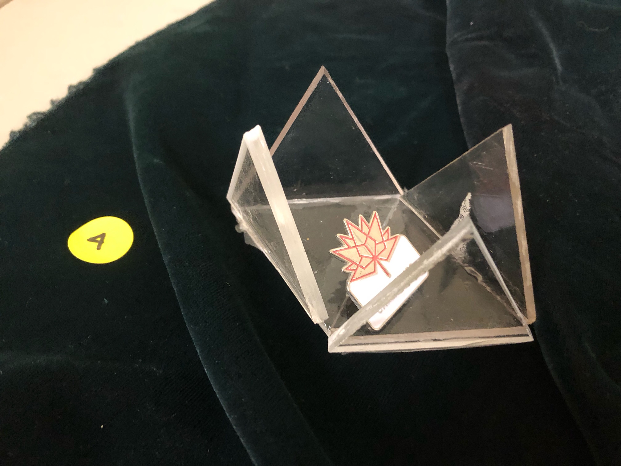 Maxine McDonald's Projects